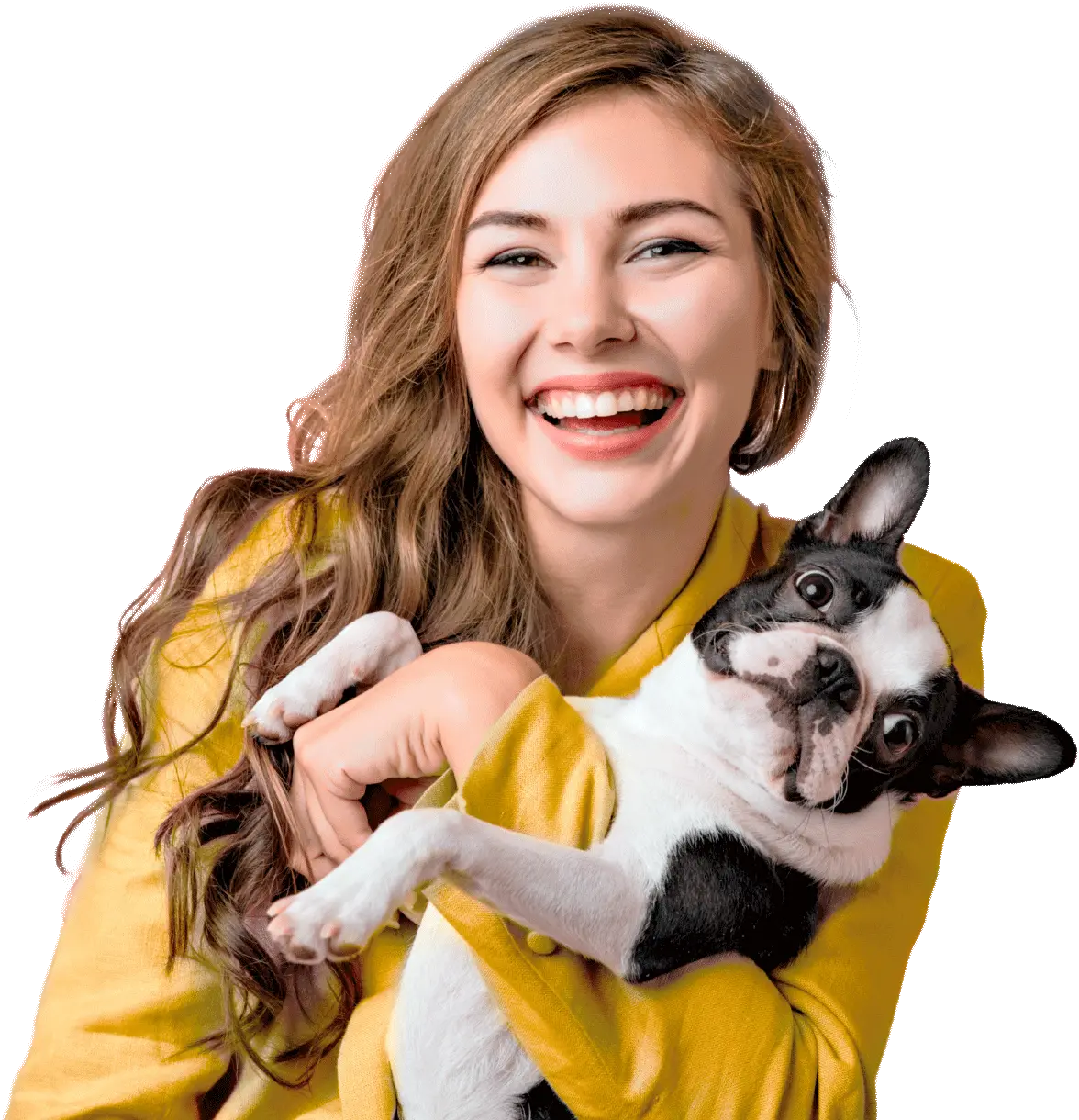 Animal Clinic | Clinica Veterinária 24 Horas