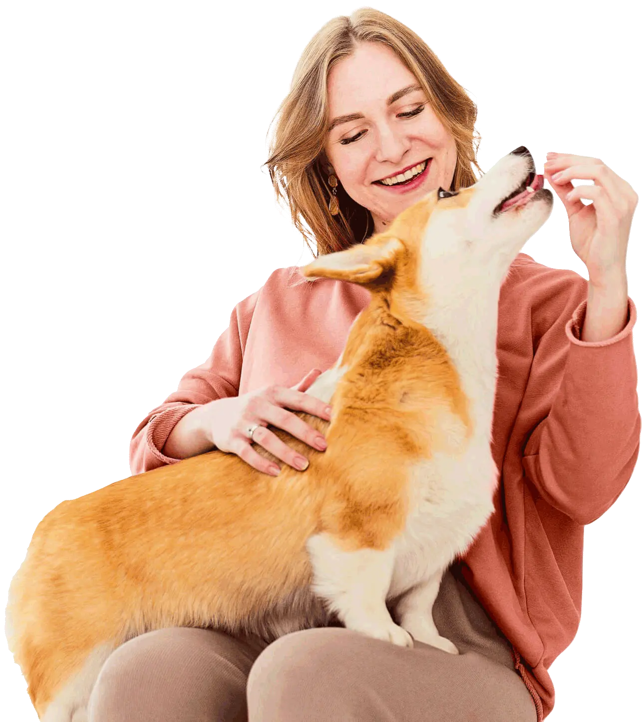 Animal Clinic | Clinica Veterinária 24 Horas